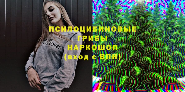 стаф Алексеевка