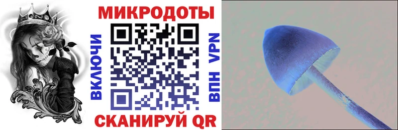 KRAKEN как зайти  Усть-Лабинск  Псилоцибиновые грибы Cubensis 